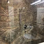 Holec Apartments